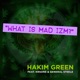 What Is Mad Izm feat KRS One General Steele Single