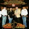 José Miguel - Grupo Don D' Oro lyrics