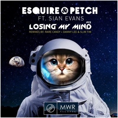 Losing My Mind: Remixes (feat. Sian Evans) - Single
