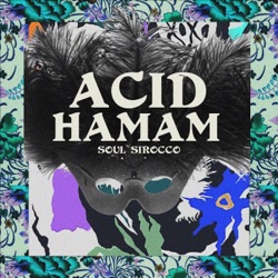 Acid Hamam - Soul Sikher