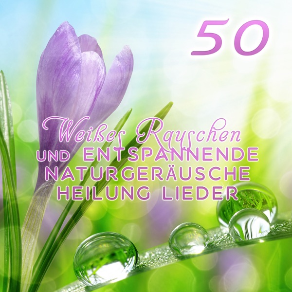 Weißes Rauschen und entspannende Naturgeräusche: 50 Heilung Lieder