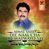 Dil Naal Cha Dil Watwayo Say, Vol. 7