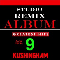 Album cover for Panda (Originally Performed by Desiigner) [Karaoke Version] by Kushingham