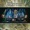 Ayreon - The Human Equation - Day Sixteen: Loser