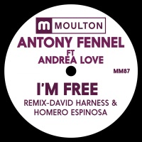 I'm Free (feat. Andrea Love) - Single - Antony Fennel