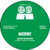 Bassfort - Moon Light