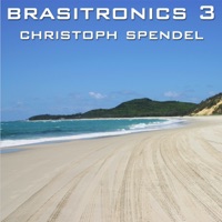 Christoph Spendel - Brasilian Brushes