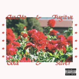 Gold & Silver - EP