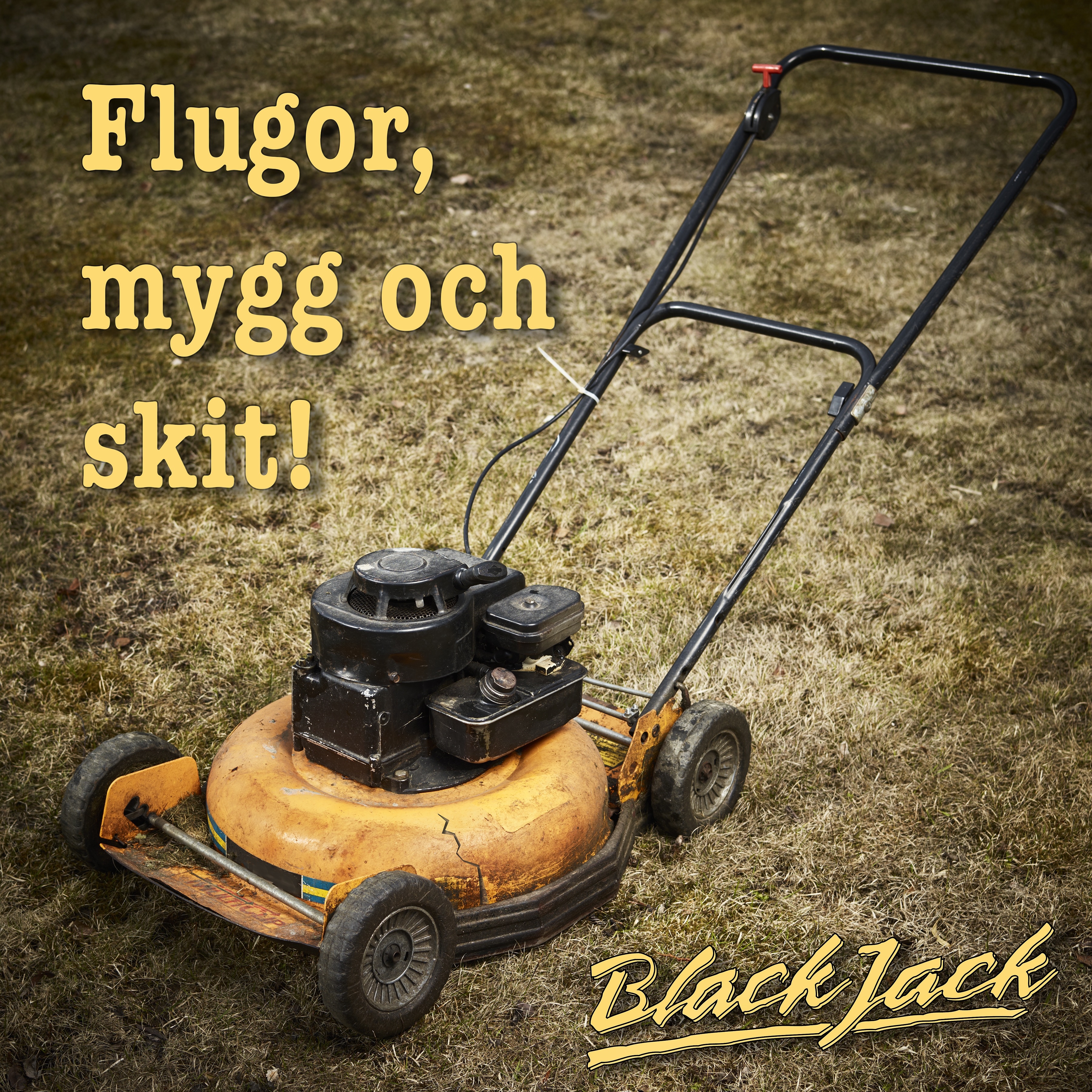 Flugor, mygg och skit - Single