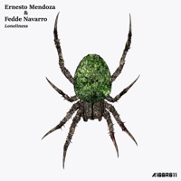 Loneliness - Single - Ernesto Mendoza & Fedde Navarro