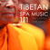 Birds (Vinyasa Yoga) - Spa Music Tibet