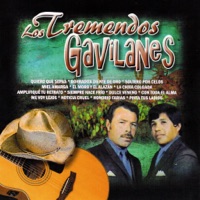 LOS TREMENDOS GAVILANES