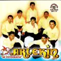 Pop. Chilenas 2