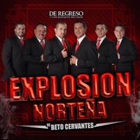 Puro Parriba