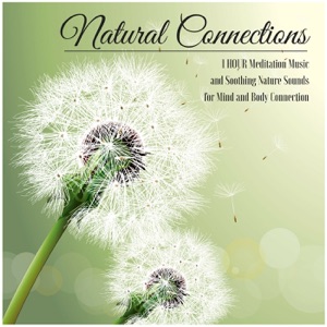 Natural Connections - 1 Hour Meditation Music and Soothing Nature Sounds for Mind and Body Connection