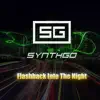 Flash Back Into The Night