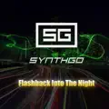 Flash Back Into The Night
