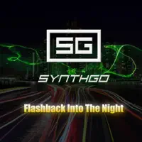 Flash Back Into the Night — Synthgo