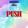 Push (feat. Shakka)