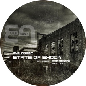 State of Shock - Single