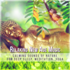 Relaxing New Age Music: Calming Sounds of Nature for Deep Sleep, Meditation, Yoga, Healing Therapy, Ambient Music - Meditation Yoga Music Masters