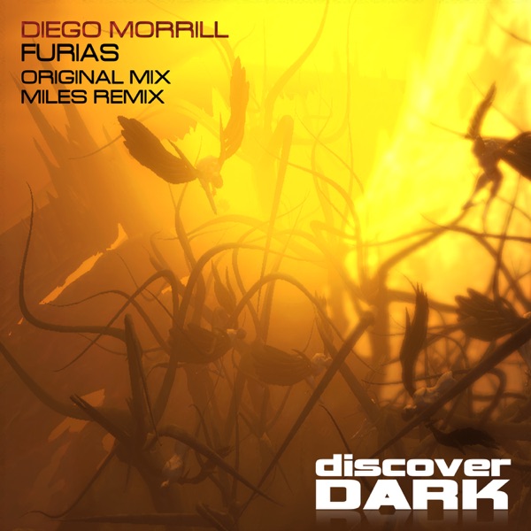 Furias - Single