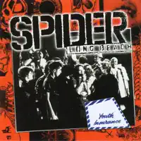 Pleasure Fold — Spider
