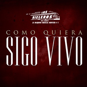 Como Quiera Sigo Vivo - Single