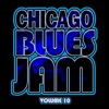 Chicago Blues Jam - Please Don’t Go