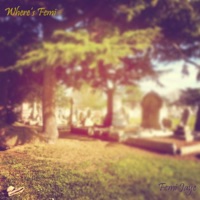 Where's Femi - Femi Jaye