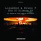 End of Silence (Rhalley Remix) - Liquefied & Bruno F lyrics