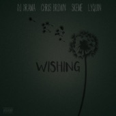 Wishing (feat. Chris Brown, Skeme & Lyquin) artwork
