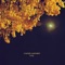 Ginkgo - Claudio Gasparini lyrics