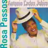 Stream & download Rosa Passos Canta Antônio Carlos Jobim - 40 Anos de Bossa Nova