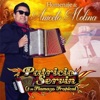 Homenaje A Aniceto Molina