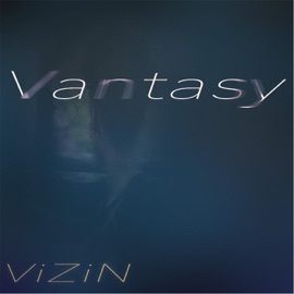 Homeless (feat. Amin) VIZIN