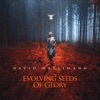 Evolving Seeds of Glory