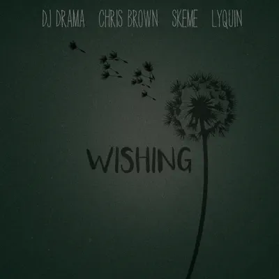 Wishing (feat. Chris Brown, Skeme & Lyquin) - Single - Dj Drama