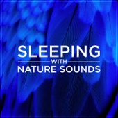Sleep with Nature Sounds artwork