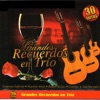 Grandes Recuerdas En Trio