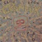 Citric Acid - Chris Knox lyrics
