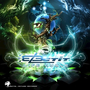 Life Cycle - Single