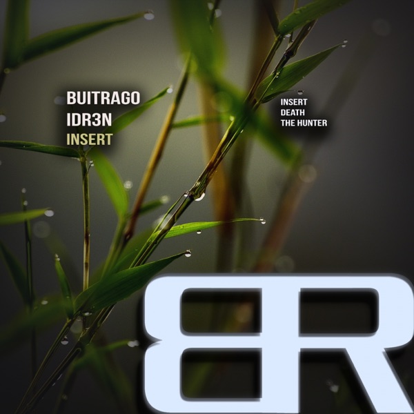Insert - Single