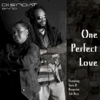 One Perfect Love - Dis-N-Dat Band