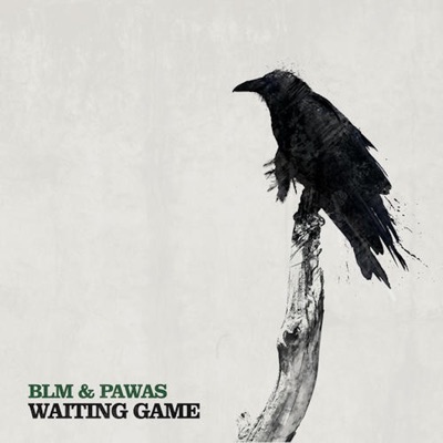 Waiting Game (P. Scott Sistrum Remix) cover art