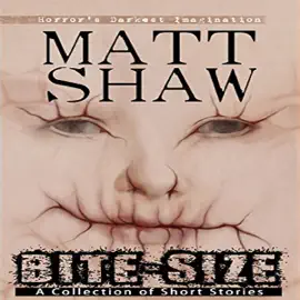 Bite-Size: A Collection of Short Stories (Unabridged)