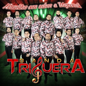 Cumbias Con Sabor A Triguera