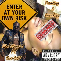 Freaking & Sneaking - Single - Sho'Stoppa