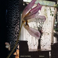 CRAZY OUTSIDE - Single - Slodown