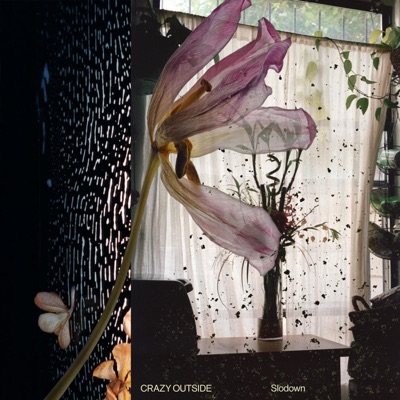 CRAZY OUTSIDE - Single